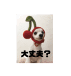 息子と孫達（個別スタンプ：7）