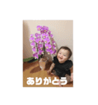 息子と孫達（個別スタンプ：16）