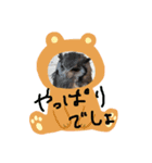 みんなで楽しいトーク（個別スタンプ：4）