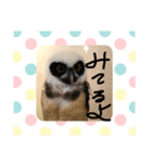 みんなで楽しいトーク（個別スタンプ：6）