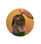 みんなで楽しいトーク（個別スタンプ：7）