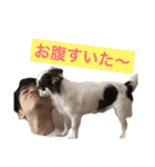 こてっちゃんスタンプ（個別スタンプ：8）