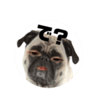 YOUTAAAA2（個別スタンプ：3）