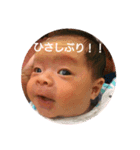きょんてぃーの日常 ごあいさつVer.（個別スタンプ：8）