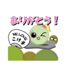苔ドル『こけ子ちゃん』 with マネージャー（個別スタンプ：6）