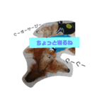 ダックスその他の愉快な仲間たちの日常4（個別スタンプ：5）