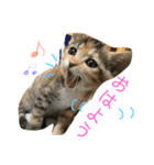愉快な仲間たちーず（個別スタンプ：2）