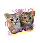 愉快な仲間たちーず（個別スタンプ：13）