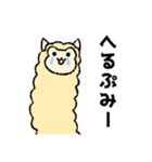 あにまる会話(家族で使える編)（個別スタンプ：24）