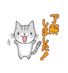 猫ちゃんです。（個別スタンプ：7）