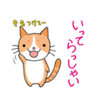 猫ちゃんです。（個別スタンプ：8）