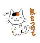 猫ちゃんです。（個別スタンプ：10）