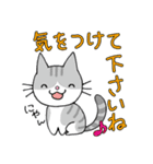 猫ちゃんです。（個別スタンプ：11）