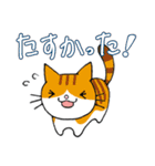 猫ちゃんです。（個別スタンプ：16）