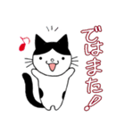 猫ちゃんです。（個別スタンプ：22）