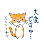 猫ちゃんです。（個別スタンプ：27）