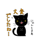 猫ちゃんです。（個別スタンプ：28）