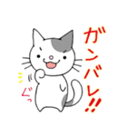 猫ちゃんです。（個別スタンプ：29）