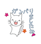 猫ちゃんです。（個別スタンプ：31）