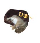うさ山さんPart1（個別スタンプ：6）