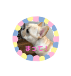シュバルツの小箱（個別スタンプ：15）