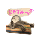 ムーさん日和。✴︎（個別スタンプ：5）