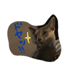 ムーさん日和。✴︎（個別スタンプ：8）