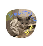 ムーさん日和。✴︎（個別スタンプ：26）