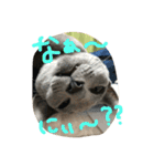 ムーさん日和。✴︎（個別スタンプ：32）