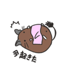 ゆるっとデグー 2（個別スタンプ：16）