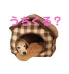 しっぽのスタンプ（個別スタンプ：9）