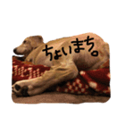 しっぽのスタンプ（個別スタンプ：15）