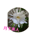 気ままに遊んでいます（個別スタンプ：3）