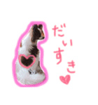 moca 2（個別スタンプ：1）