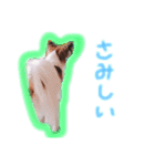 moca 2（個別スタンプ：11）