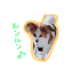 moca 2（個別スタンプ：13）