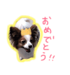 moca 2（個別スタンプ：14）