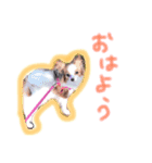moca 2（個別スタンプ：18）
