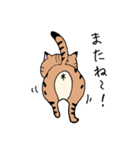 ベンガル猫 テト ゆるかわスタンプ第1弾（個別スタンプ：2）