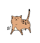 ベンガル猫 テト ゆるかわスタンプ第1弾（個別スタンプ：3）