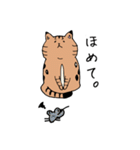 ベンガル猫 テト ゆるかわスタンプ第1弾（個別スタンプ：4）