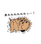 ベンガル猫 テト ゆるかわスタンプ第1弾（個別スタンプ：16）