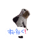 うりなち（個別スタンプ：6）