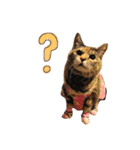 ねこチャッピー（個別スタンプ：6）