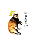 ねこチャッピー（個別スタンプ：9）