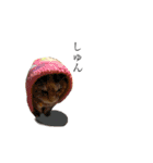 ねこチャッピー（個別スタンプ：32）
