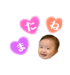 あおにゃんこ（個別スタンプ：16）