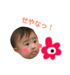 あおにゃんこ（個別スタンプ：19）