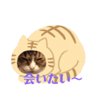 猫マロンちゃんスタンプ（個別スタンプ：6）