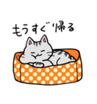 サバトラ猫2（個別スタンプ：7）